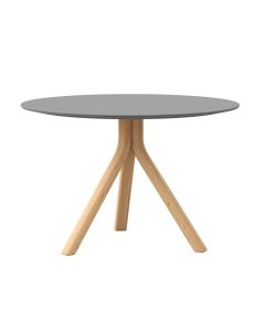 Тркалезна маса фи 120, Ондо Мона