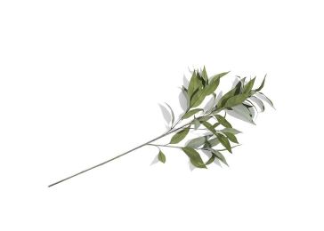 Декорација, Eucalyptus