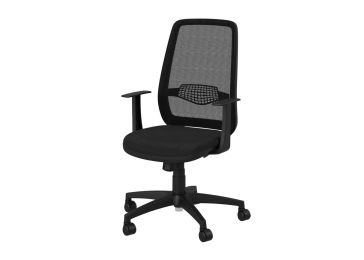 Дактило столица, Аризона