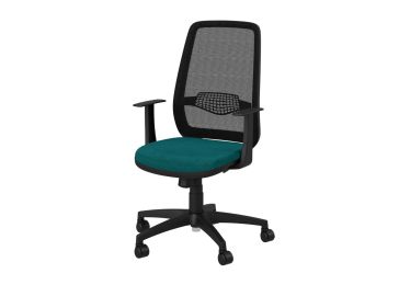 Дактило столица, Аризона