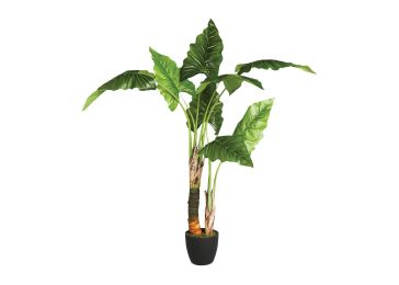 Atmosphera, dekoracija, cvijet, umjetno cvijeće, Stablo banane